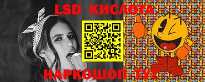 spice Гатчина