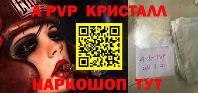 spice Гатчина