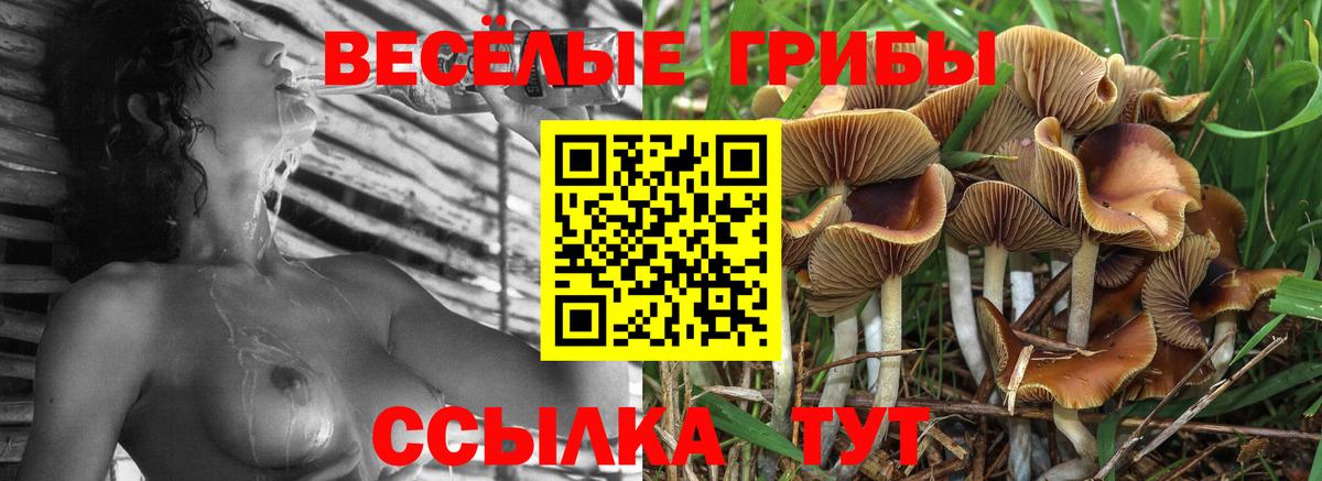 Галлюциногенные грибы мицелий Карабулак